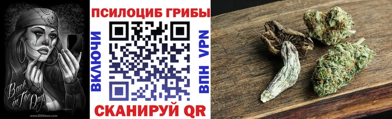 Купить  Дегтярск  Псилоцибиновые грибы мухоморы 