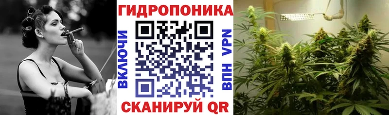 Купить где  Дегтярск  Бошки марихуана THC 21% 